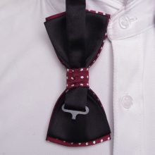 Formal Gentleman Bow Tie
